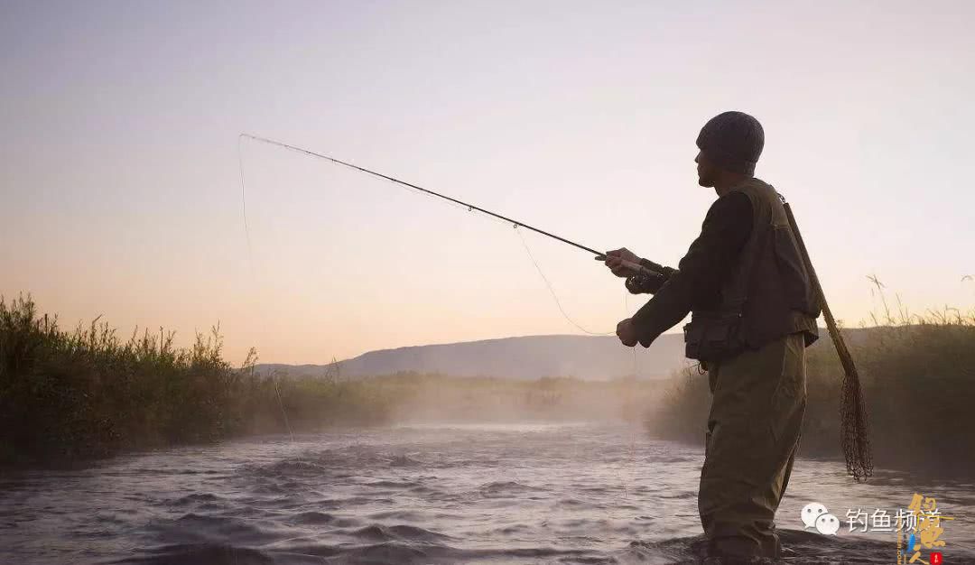钓鱼操竿,这四个动作千万不能做!