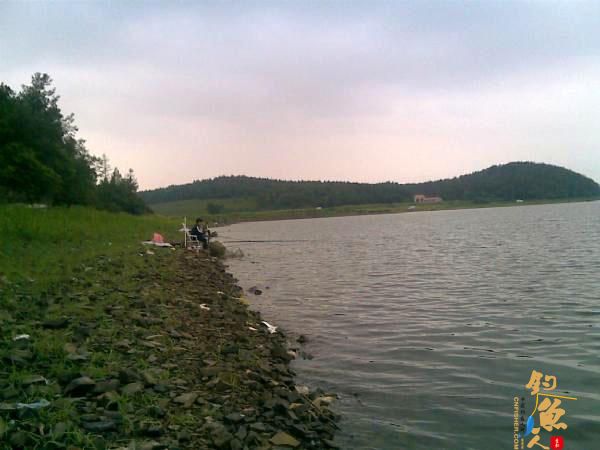 钓鱼人用了40分钟成功将一条接近1米长的大鲤鱼溜翻