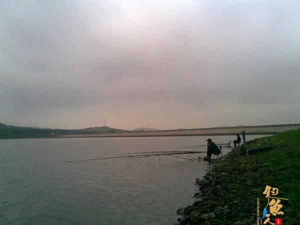 钓鱼人用了40分钟成功将一条接近1米长的大鲤鱼溜翻