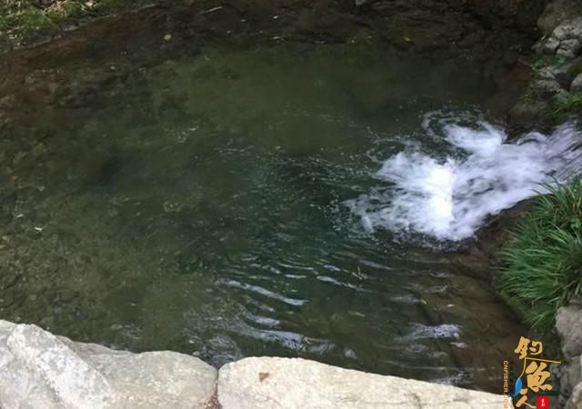 废弃取水潭这种鱼多，钓鱼最怕遇上它，拿来下酒却超赞！