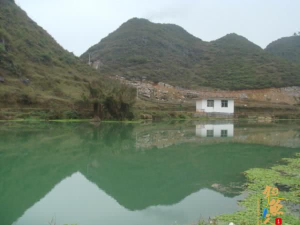 升钟湖山泉水钓鱼, 那鱼肚子里面没有黑膜，附升钟湖美景