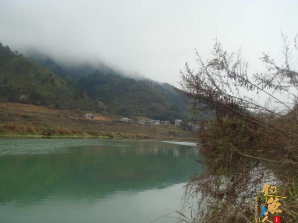 升钟湖山泉水钓鱼, 那鱼肚子里面没有黑膜，附升钟湖美景