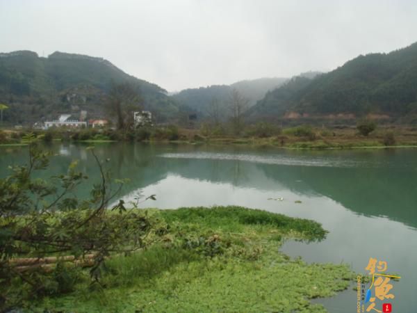 升钟湖山泉水钓鱼, 那鱼肚子里面没有黑膜，附升钟湖美景