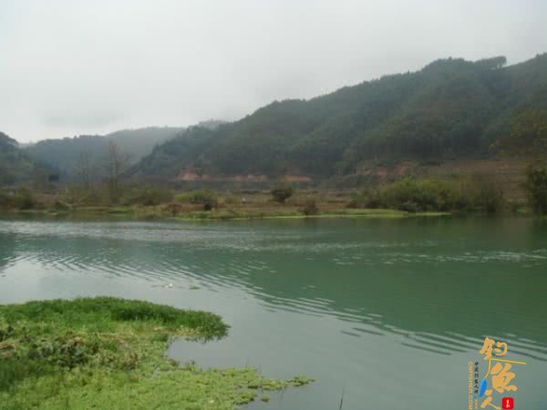 升钟湖山泉水钓鱼, 那鱼肚子里面没有黑膜，附升钟湖美景