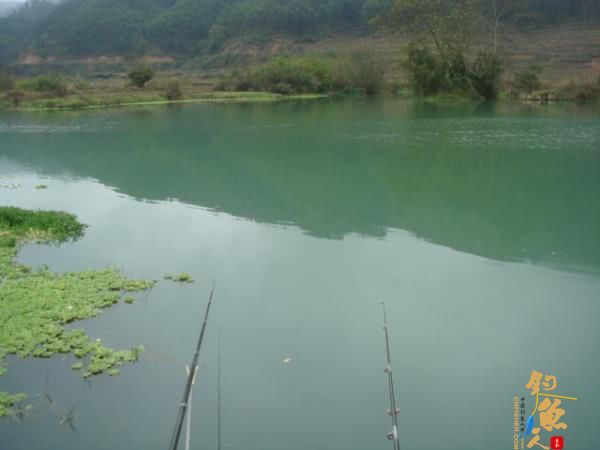 升钟湖山泉水钓鱼, 那鱼肚子里面没有黑膜，附升钟湖美景