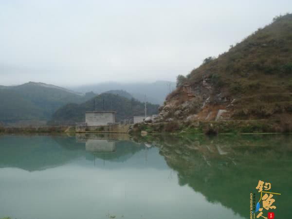 升钟湖山泉水钓鱼, 那鱼肚子里面没有黑膜