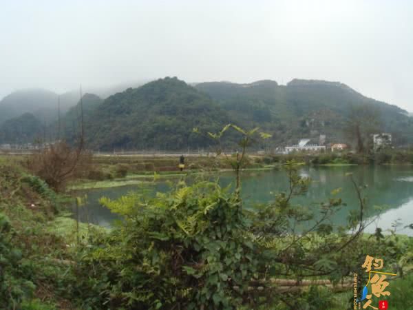 升钟湖山泉水钓鱼, 那鱼肚子里面没有黑膜，附升钟湖美景