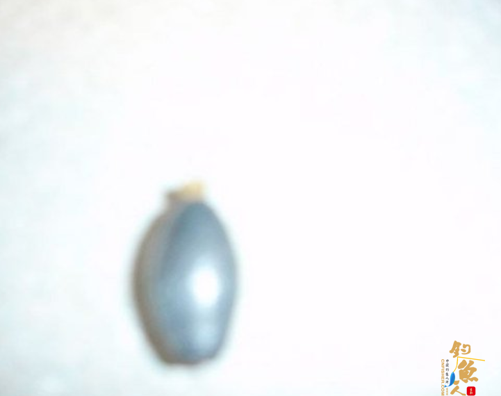 矶钓测水深防止铅坠挂底断线的小妙招