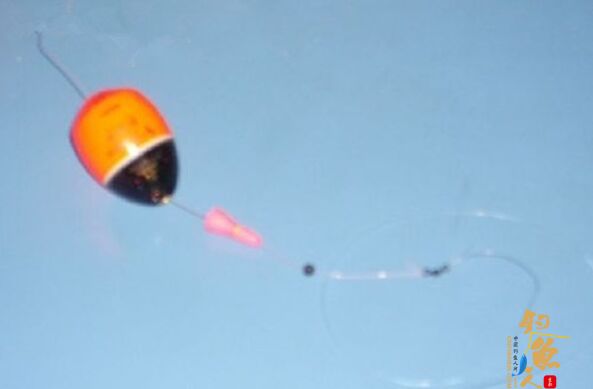 海钓全游动钓组的绑法和钓法的探讨