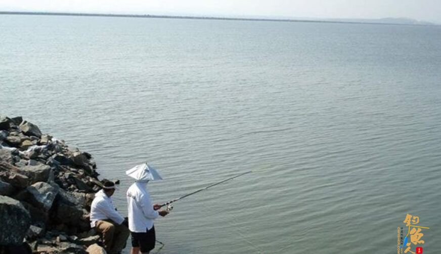 海钓无流时的钓法运用及选位技巧