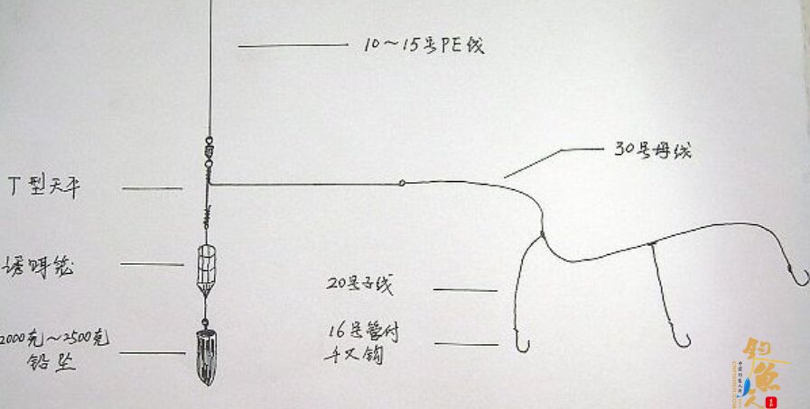 天平钓组钓法