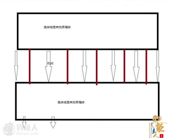 实践分享 海水筏钓的装备选择与选点技巧
