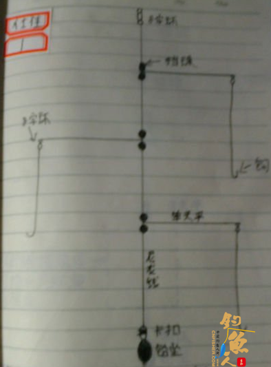 北方近海船钓的常用仕挂钓组-课堂笔记图