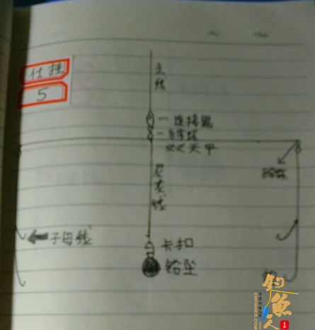 北方近海船钓的常用仕挂钓组-课堂笔记图