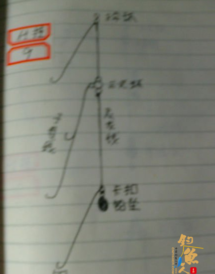 北方近海船钓的常用仕挂钓组-课堂笔记图