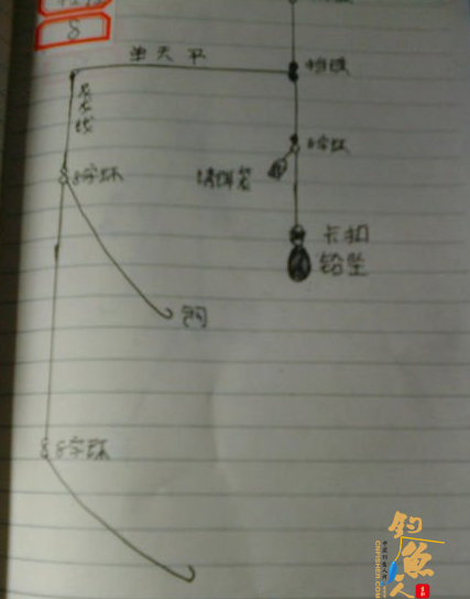 北方近海船钓的常用仕挂钓组-课堂笔记图