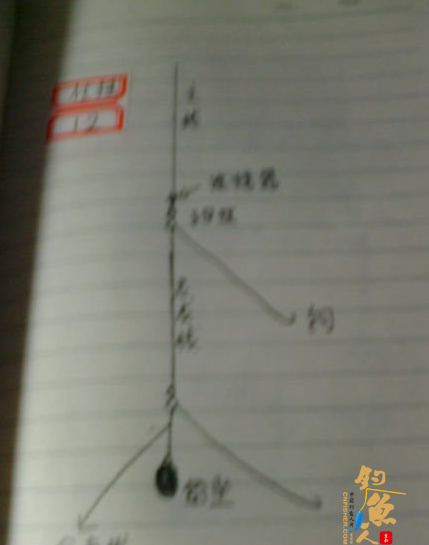 北方近海船钓的常用仕挂钓组-课堂笔记图