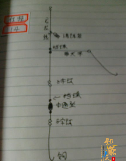 北方近海船钓的常用仕挂钓组-课堂笔记图