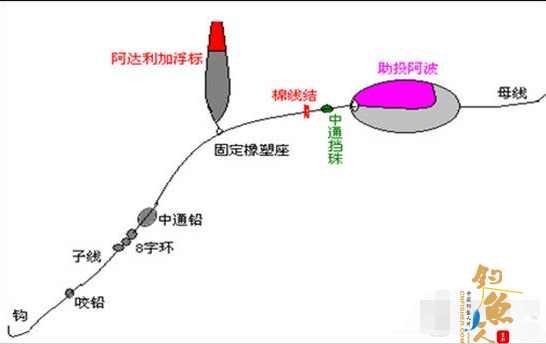 阿达利加助投器钓组
