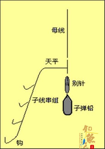 沙滩远投钓与放长线钓大鱼