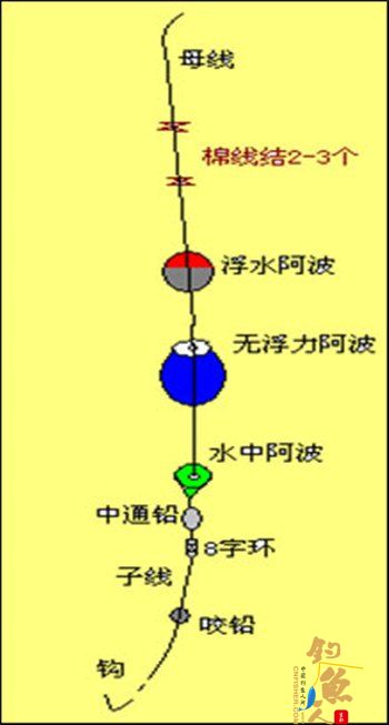 双丹锥加水中钓组
