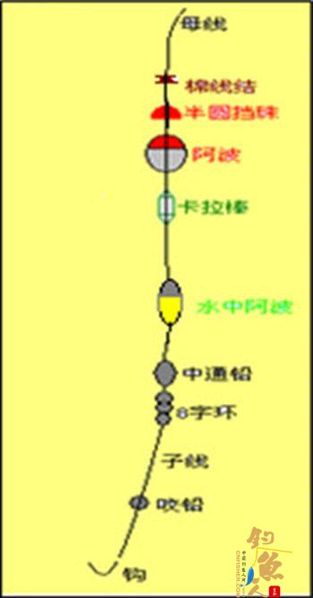 半游动加水中钓组
