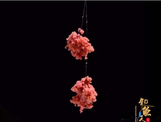 户外垂钓最应该注意的是什么?不知道这几点不要说自己是钓鱼人