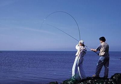 钓鱼新手的注意事项 钓不上鱼别担心，学会利用技巧轻松钓大鱼