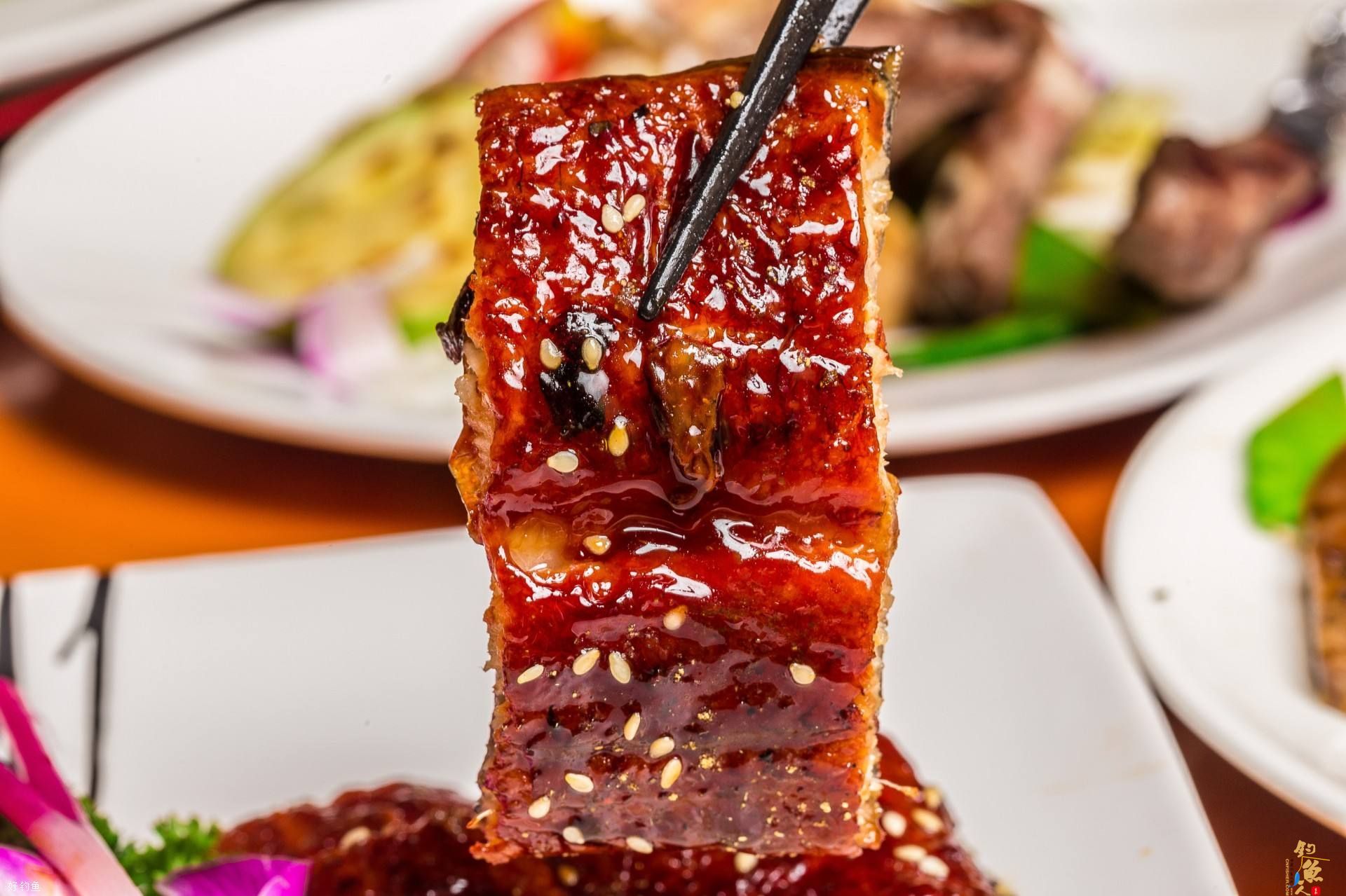 老钓鱼人浅谈海钓鳗鱼技巧