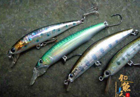 路亚拟饵颜色的选择与使用技巧