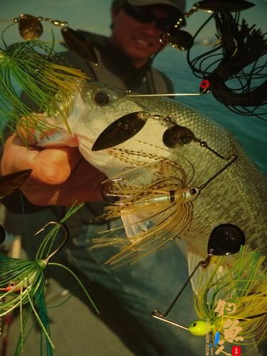 几款常用的路亚全泳层假饵介绍