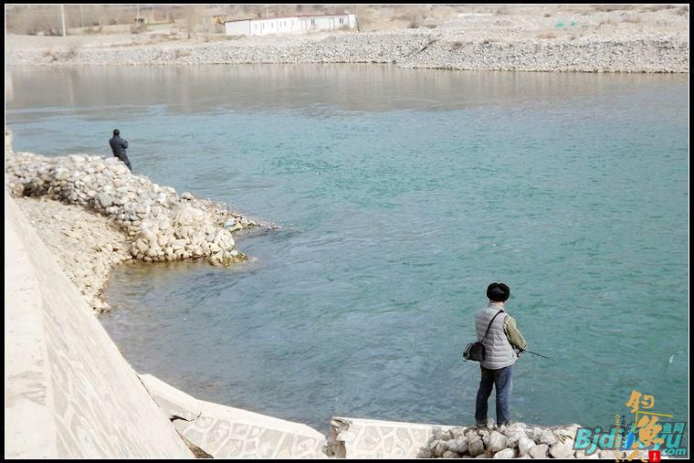 路亚新手洮河路获野生大虹鳟[西风烈野钓]