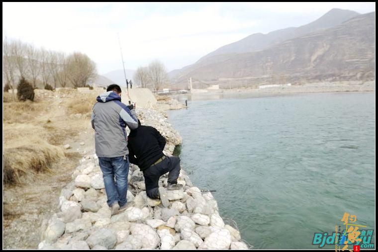 路亚新手洮河路获野生大虹鳟[西风烈野钓]