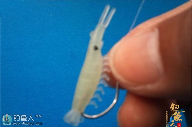 海竿串钩路亚鳜鱼和翘嘴鱼(附假虾制作方法)