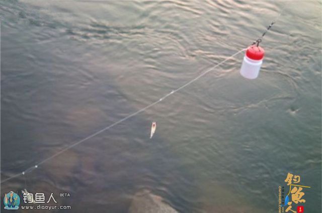 海竿串钩路亚鳜鱼和翘嘴鱼(附假虾制作方法)