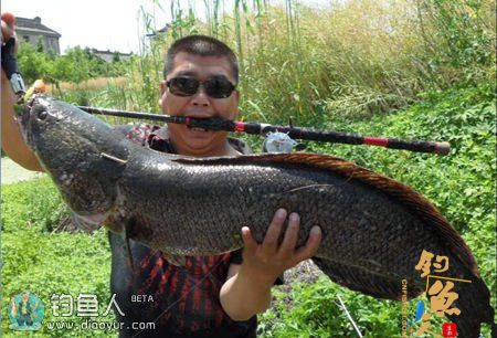 路亚黑鱼的四大技巧全解析