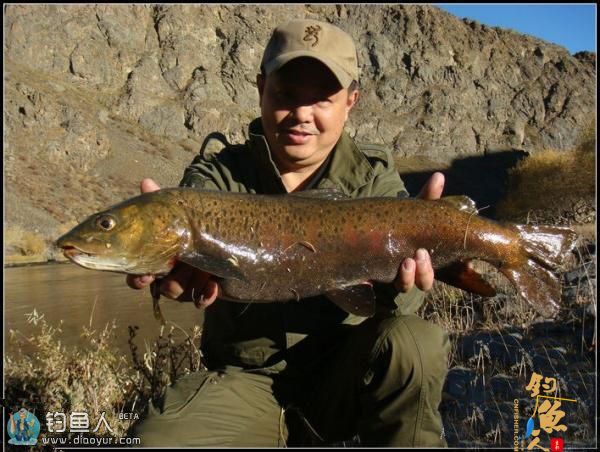 蒙古地区路亚冷水性鱼种的一些经验