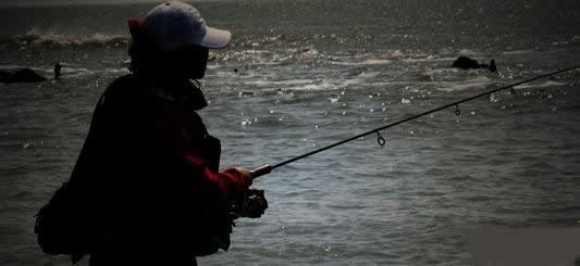 何为路亚?路亚的本质,含义,解释