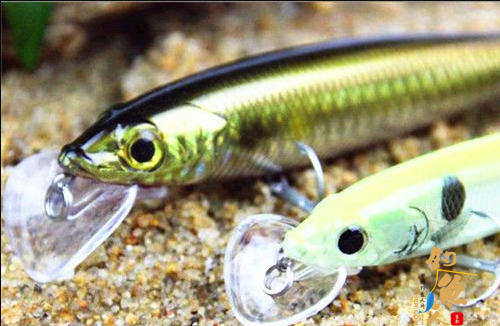 路亚钓法中硬式拟饵的种类介绍