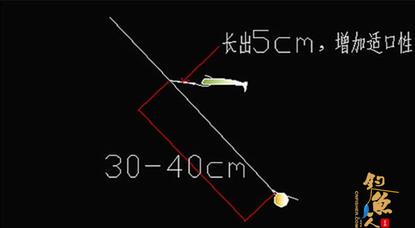 浅析冬日路亚翘嘴的精细钓法