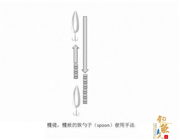 路亚鲈鱼的勺子拟饵操控技巧