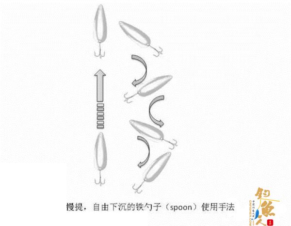 路亚鲈鱼的勺子拟饵操控技巧