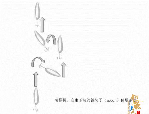 路亚鲈鱼的勺子拟饵操控技巧
