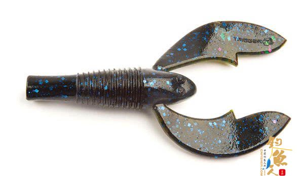 Swimming crawfish 游动型虾