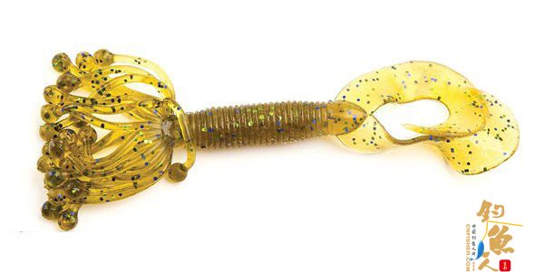 Twin-tail grubs 双尾蛆