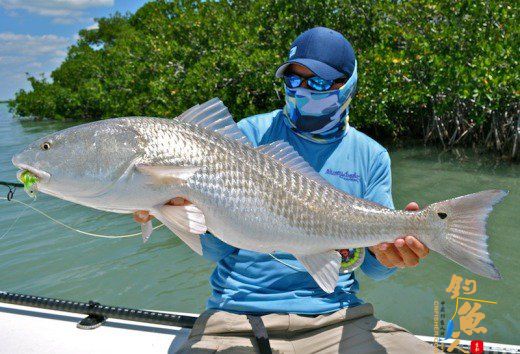 如何选择适合自己的路亚竿？