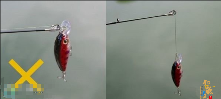 注意路亚与钓竿需留5~10cm的空间，太长不易抛投且易钩到障碍物，太短会损伤钓竿。