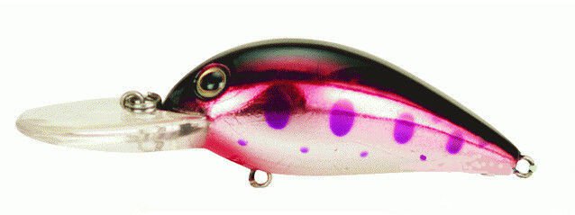 搅泥路亚(摇摆胖子)钓组(Crankbaits)