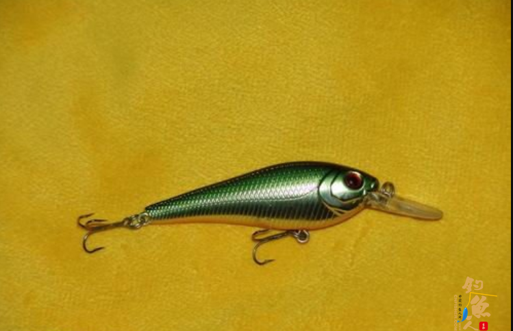 MINNOW——这是国内钓友比较熟悉的路亚种类,外型多半模仿一种身躯细长的小鱼,且许多产品都会以有关MINNOW的字眼来命名;究其原因,欧美大部分水域里都有自然生长这种叫做MINNOW的小