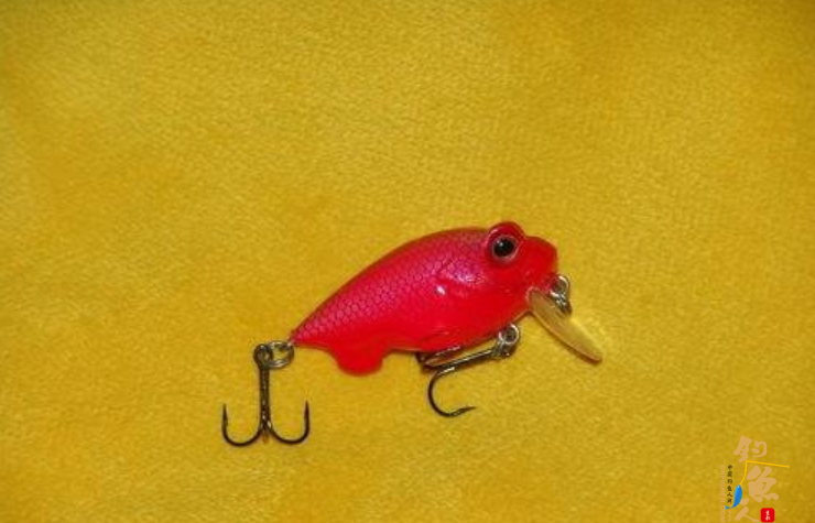 CRANKER——这种东西不论在整体设计或制作上,都具有浮体动力学(AEODYNAMIC)的观念,体形一般都较为短胖,但曲线玲珑、凹凸有致,外观比较趋于固定